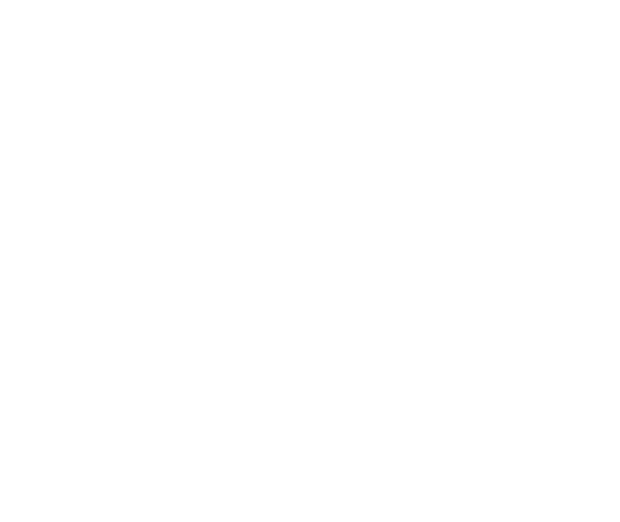 Kimpex Flow