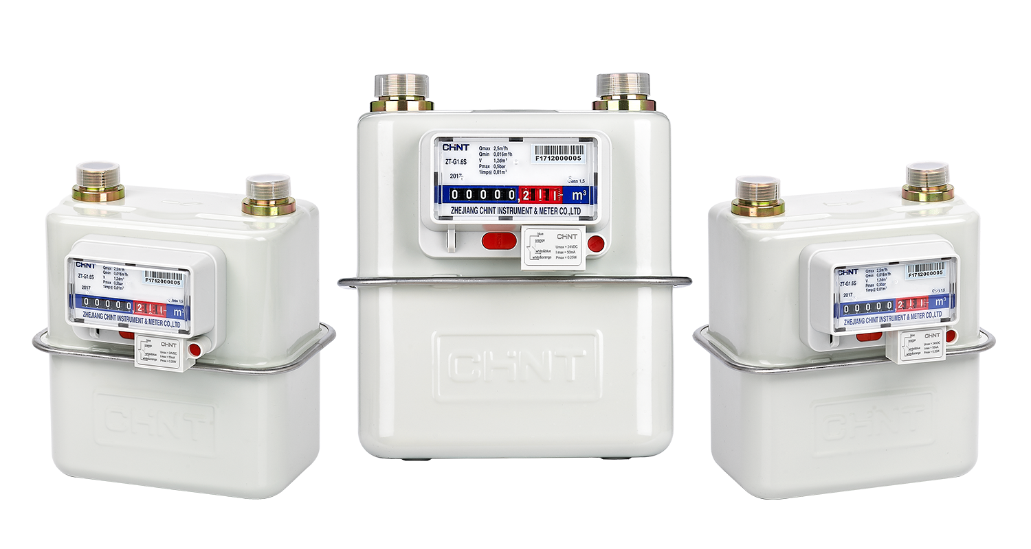 Domestic Gas Meter Manufacturer in Assam